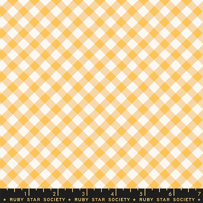 Food Group 25cm RS5044 11 Painted Gingham Check Plaid - Melody Miller - Ruby Star Society